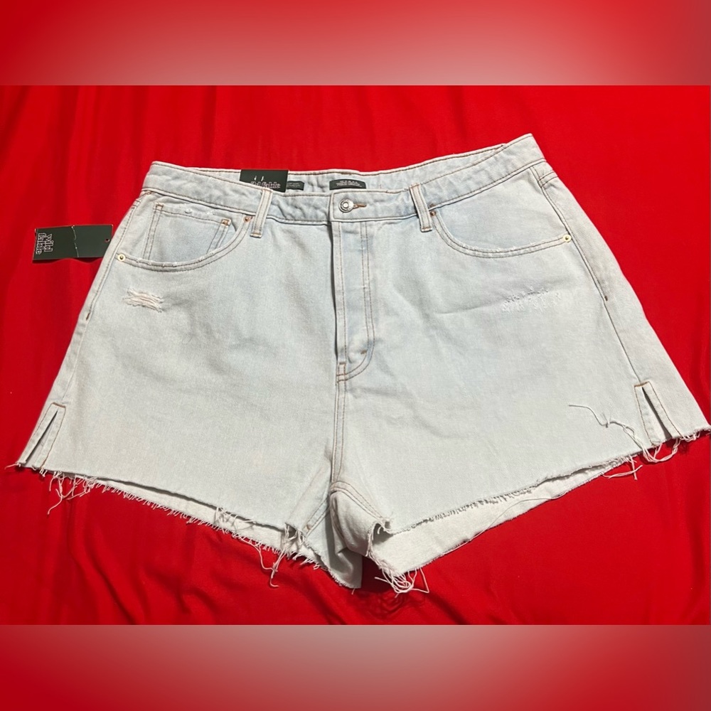 Women Wild Fable Shorts Size (16)